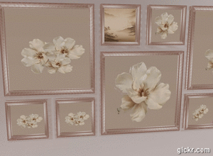 Animated GIF made with Gickr