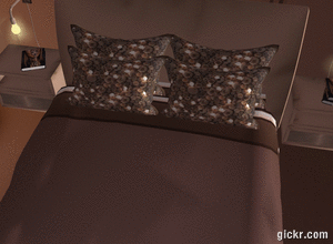 Animated GIF made with Gickr