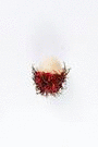Animated GIF made with Gickr
