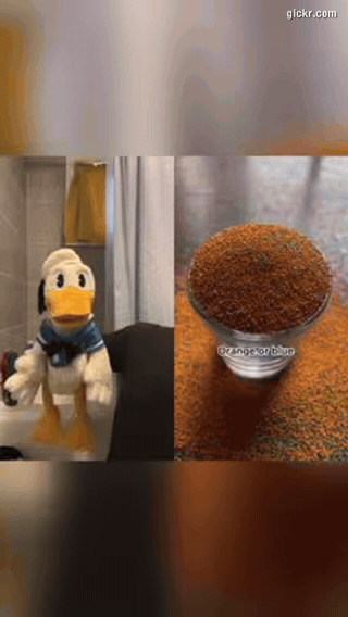 Animated GIF made with Gickr