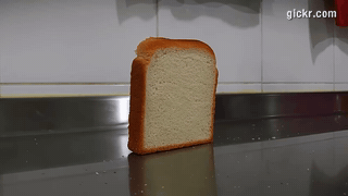 Animated GIF made with Gickr