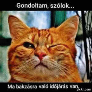 Animated GIF made with Gickr