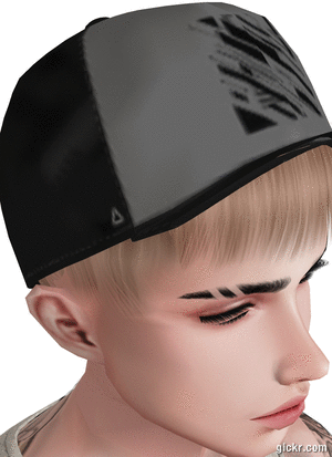 Animated GIF made with Gickr