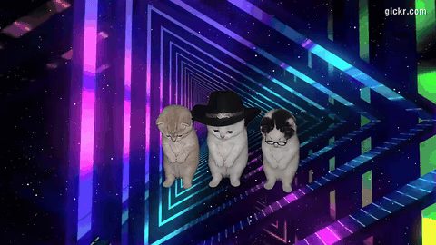 Animated GIF made with Gickr