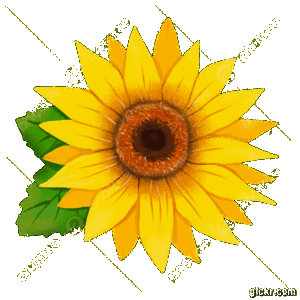 Animated GIF made with Gickr