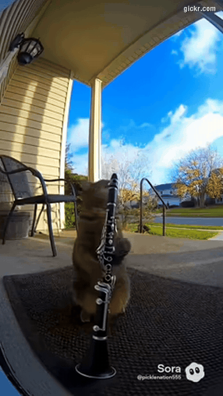 Animated GIF made with Gickr