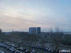Animated GIF made with Gickr