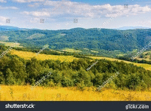 Animated GIF made with Gickr