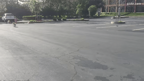 Animated GIF made with Gickr