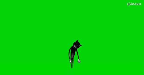 Animated GIF made with Gickr