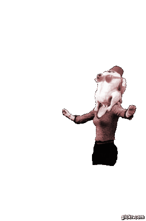 Animated GIF made with Gickr