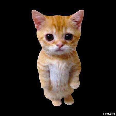 Animated GIF made with Gickr