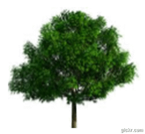 Animated GIF made with Gickr