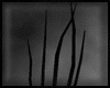 Animated GIF made with Gickr