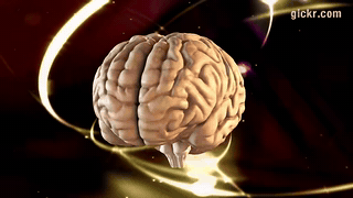 Animated GIF made with Gickr