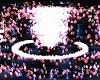 Animated GIF made with Gickr