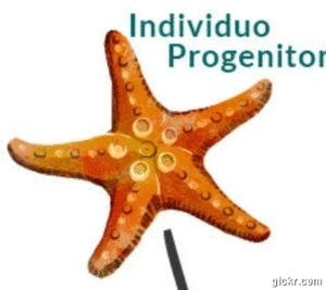 Animated GIF made with Gickr