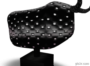 Animated GIF made with Gickr