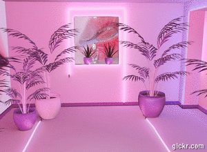 Animated GIF made with Gickr
