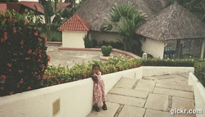 Animated GIF made with Gickr