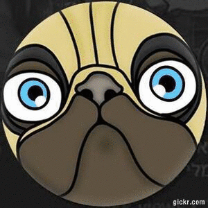Animated GIF made with Gickr