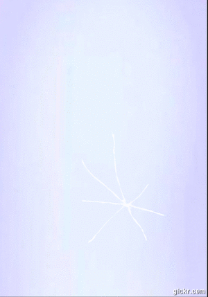 Animated GIF made with Gickr