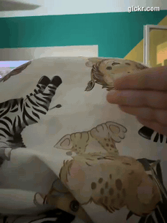 Animated GIF made with Gickr