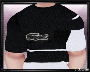 Animated GIF made with Gickr