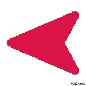 Animated GIF made with Gickr