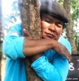 Animated GIF made with Gickr