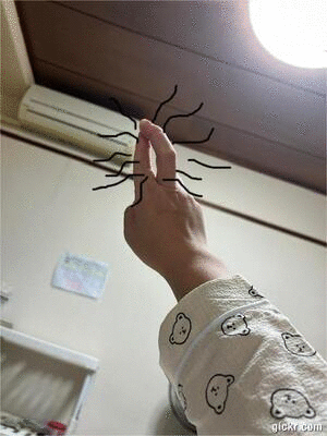 Animated GIF made with Gickr