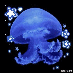 Animated GIF made with Gickr