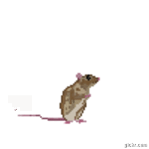 Animated GIF made with Gickr