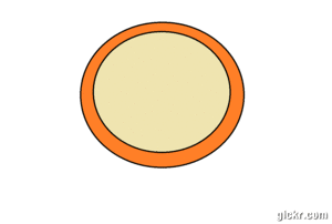 Animated GIF made with Gickr