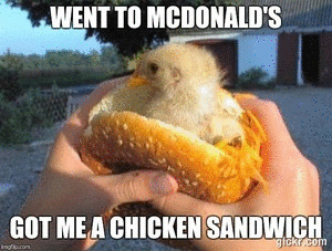 Animated GIF made with Gickr