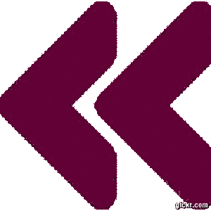 Animated GIF made with Gickr