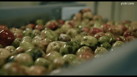 Animated GIF made with Gickr