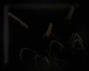 Animated GIF made with Gickr