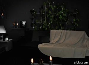 Animated GIF made with Gickr