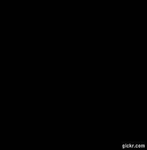 Animated GIF made with Gickr