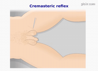 Animated GIF made with Gickr