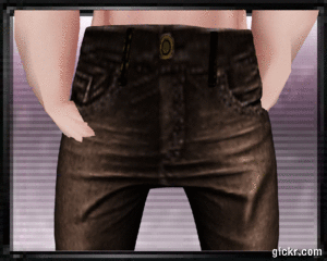 Animated GIF made with Gickr