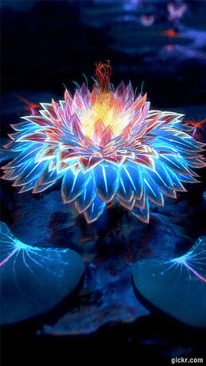 Animated GIF made with Gickr