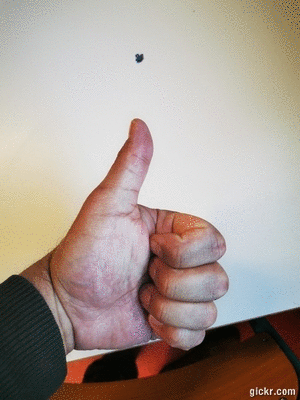 Animated GIF made with Gickr
