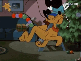 Animated GIF made with Gickr
