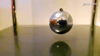 Animated GIF made with Gickr