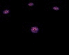 Animated GIF made with Gickr