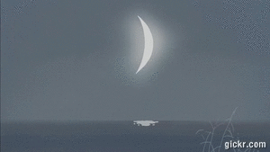 Animated GIF made with Gickr