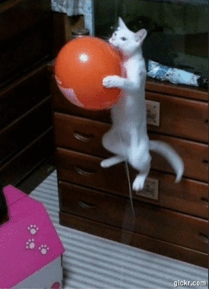 Animated GIF made with Gickr