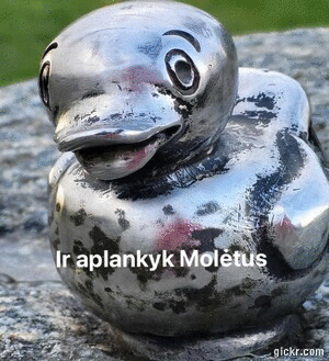 Animated GIF made with Gickr